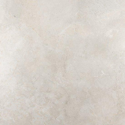 ÉCHANTILLON Ceralto Briano Accent Carrelage sol et mur 100x100cm 6mm rectifié R10 grès cérame Platinum White SW912654