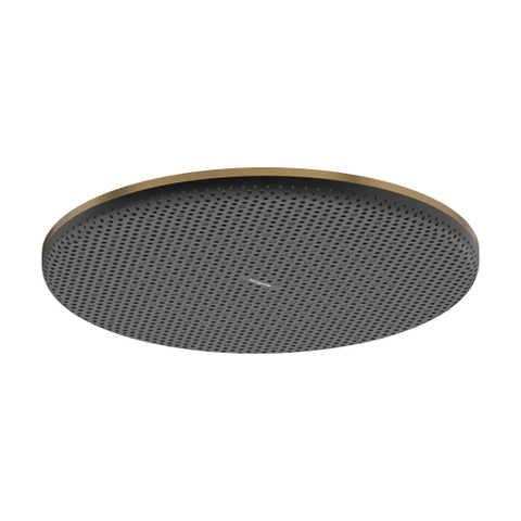 Hansgrohe Raindance Alive S - hoofddouche 300 - 1jet - geborsteld brons (brons) SW1388222