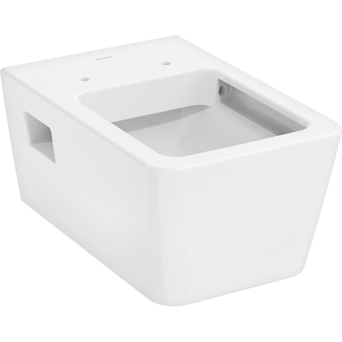 Hansgrohe EluPura Original Q WC SW1164943