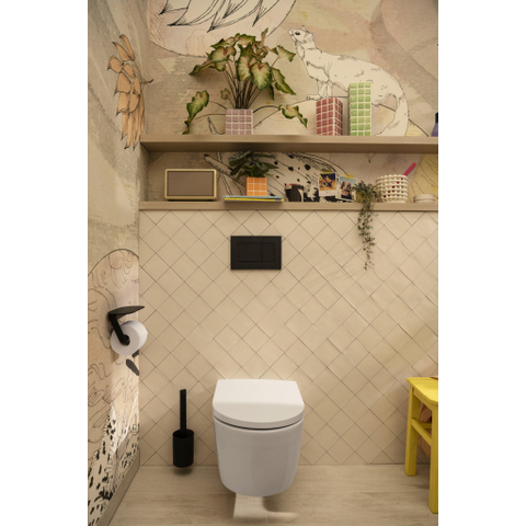 Hansgrohe Wallstoris Ensemble WC porte-rouleau et garniture brosse mat noir SW651192