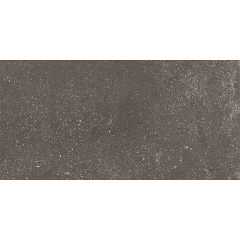 Ceralto Ivarno Core Carreau de sol - 30X60 - 10mm - mat - gris foncé SW1578958