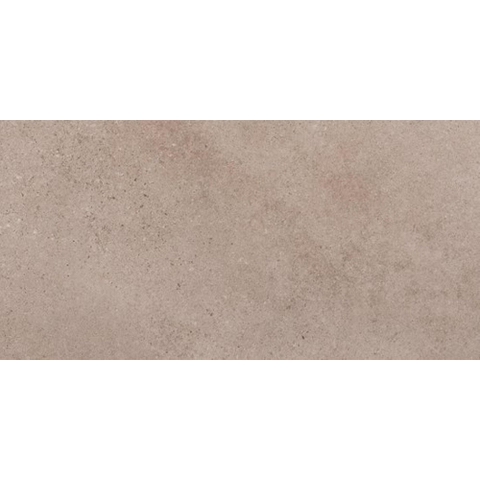 ÉCHANTILLON Ceralto Orsini Studio Carreau de sol - 30x60cm - 8.5mm - Gris SW1557820
