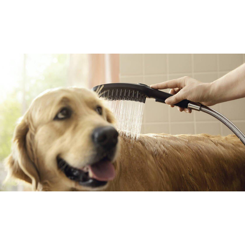 Hansgrohe Dogshower Handdouche - voor de hond - 150 - 3jet - met massagenoppen - mat zwart SW651010