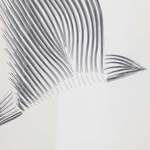 Sealskin Birds Rideau de douche 180x200 cm Polyester Noir / Blanc SW699527