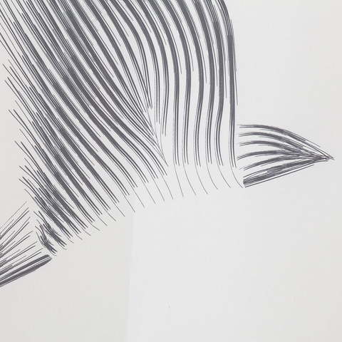 Sealskin Birds Douchegordijn 180x200 cm Polyester Zwart / Wit SW699527