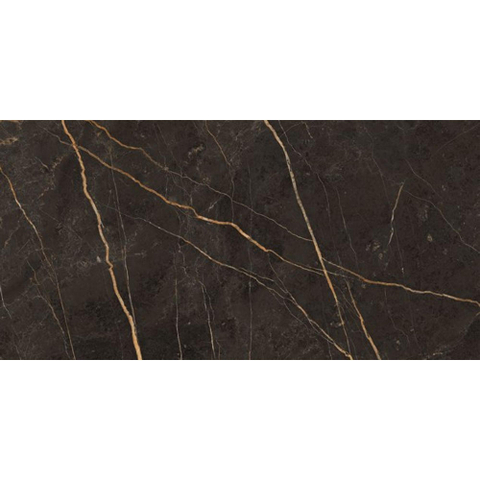 ÉCHANTILLON Terravito Dapuro carreau mural et de sol - 60x120cm - rectifié - aspect pierre naturelle - Laurent polished poli (anthracite) SW1130964