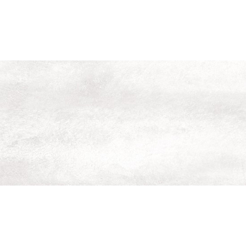 SAMPLE Ceralto Ferron Metal 305X605 Sync Ice SW1123112