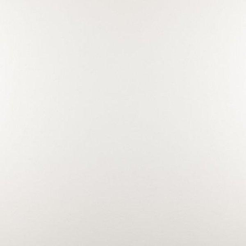 ÉCHANTILLON Ceralto Briano Accent Carrelage sol et mur 100x100cm 6mm rectifié R9 grès cérame White SW912626