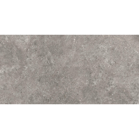 ÉCHANTILLON Terravito Larino carreau de sol et de mur - 80x160cm - 9mm - rectifié - (Gris) SW1221608