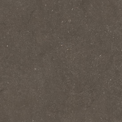 Ceralto Karsio Rock Tegels slabs klein - 120x120cm - 9.0mm - gerectificeerd - Noble brionne SW1529439