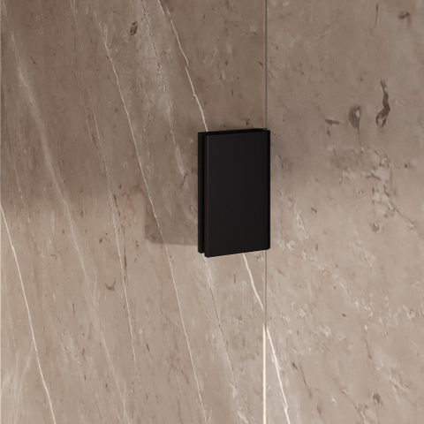 BRAUER Void Carving Cabine de douche - 100x120x200cm - porte battante - revêtement verre - réversible - verre clair - noir mat SW1418090