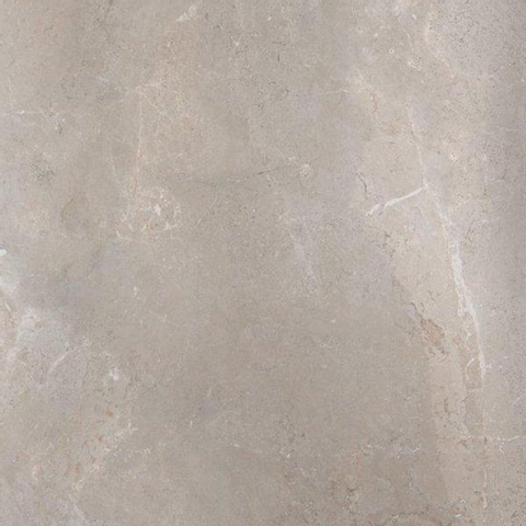 ÉCHANTILLON Ceralto Briano Accent Carrelage sol et mur 100x100cm 6mm rectifié R10 grès cérame Palladium Grey SW912635