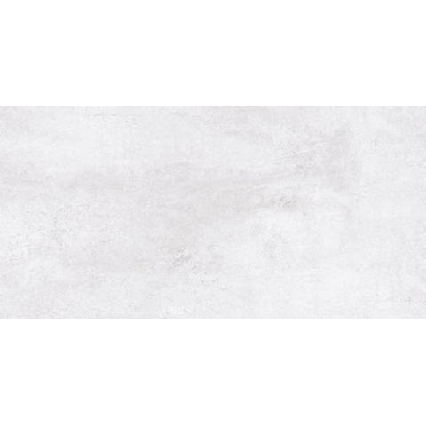 ÉCHANTILLON Ceralto Ferron Metal 300X600 Gravity 25616 Blanc/Gris SW1123105
