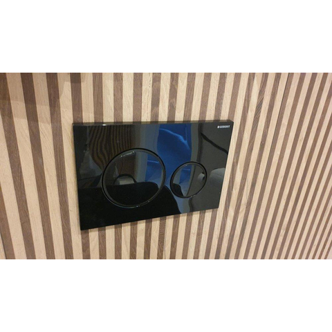 Geberit Sigma20 bedieningsplaat - 2-toets spoeling - ronde knoppen - zwart/matzwart/zwart - dualflush - glans zwart mat SW420725