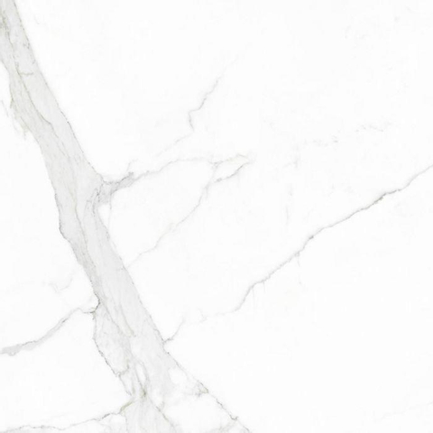 Terravito Alpuro carreau mural et de sol - 60x60cm - 9mm - carré - rectifié - effet marbre - blanc/noir mat SW359784