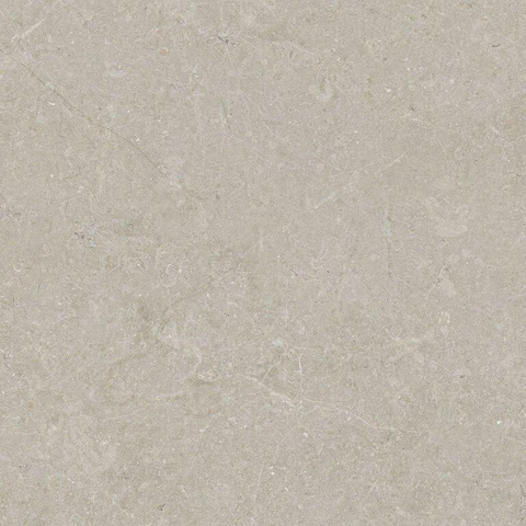ÉCHANTILLON Terravito Elvano Carrelage parquet céramique mural et de sol - 60x60cm - 9mm - Sand SW1579534