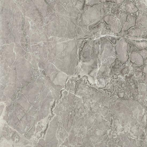 Ceralto Marvella Marble Carreau de sol - 120X120 - 6.5mm - mat - gris SW1578878