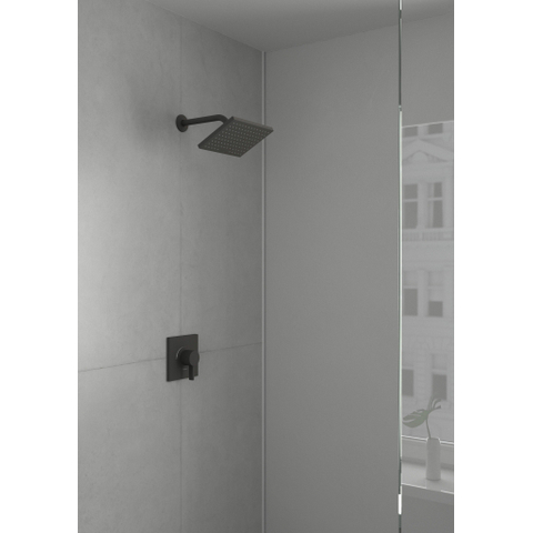 Hansgrohe Vernis Shape - hoofddouche 23x17cm - mat zwart SW651592