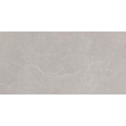 Ceralto Sylvaro Tone Carreau de sol - 60x120cm - 9.0mm - rectifié - gris SW1117086