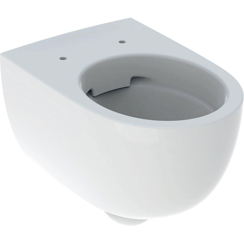 Geberit 300 Comfort WC suspendu – surélevé – Rimfree – profondeur 53 cm – blanc brillant SW1235336
