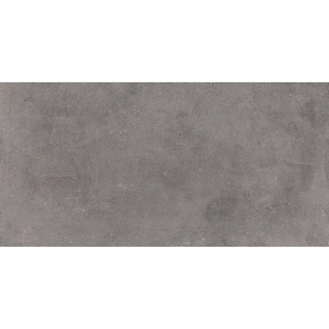 Terravito Sigillo carreau mural et de sol - 29,6x59,5cm - 8mm - rectifié - effet béton - gris SW863170