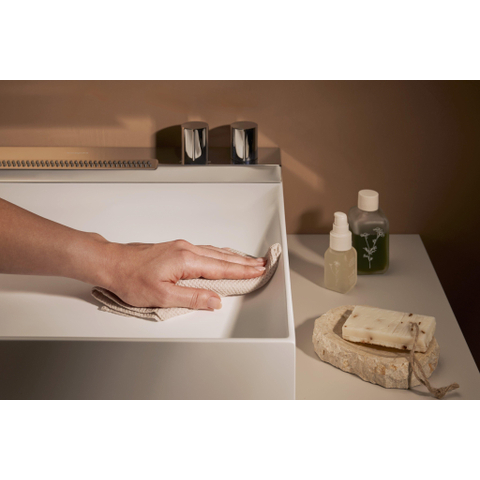 Hansgrohe Avalegra Wastafel / Fontein SW1387807