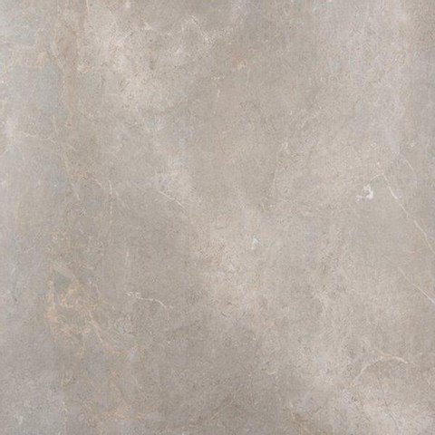 ÉCHANTILLON Ceralto Briano Accent Carrelage sol et mur 100x100cm 6mm rectifié R10 grès cérame Palladium Grey SW912635