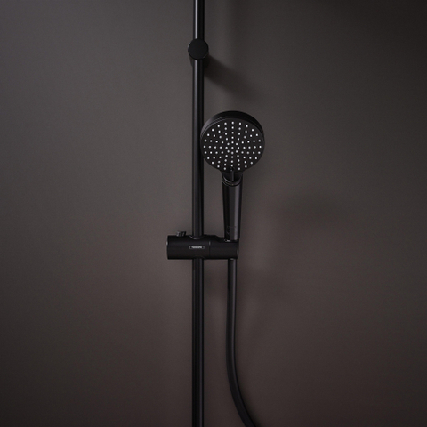 Hansgrohe Vernis Blend handdouche - 10cm - rond - 2 standen - EcoSmart - mat zwart SW642518