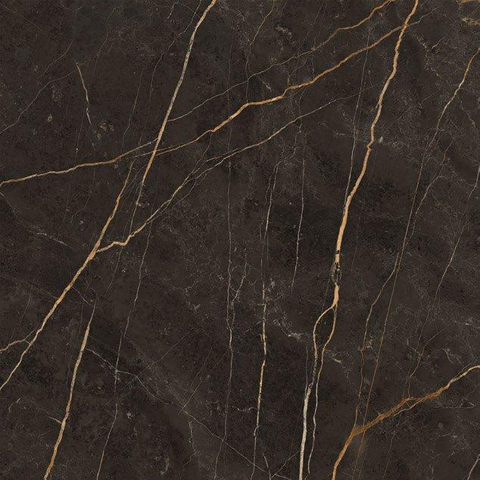 ÉCHANTILLON Terravito Dapuro carreau mural et de sol - 120x120cm - rectifié - aspect pierre naturelle - Laurent polished poli (anthracite) SW1130951