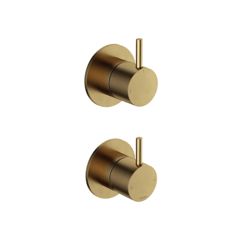 Hotbath Cobber Afbouwdeel - 2-weg omstel - Living colours - geborsteld messing goud SW1117833