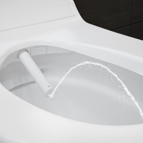 Geberit AquaClean Tuma Comfort Douchewc - spoelrandloos Wand geborsteld RVS afdekplaatje - met wandbediening - geborsteld wit glans SW809477