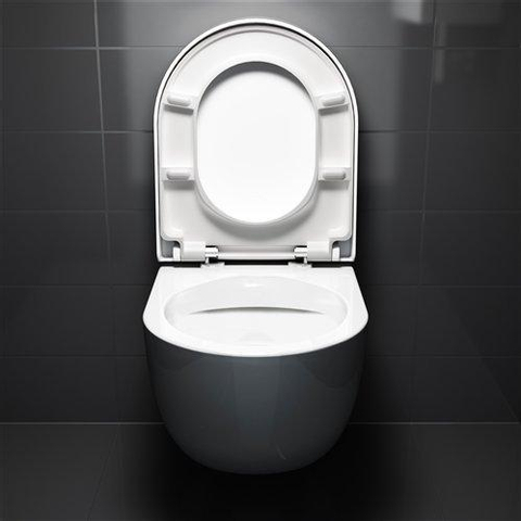 Clou Hammock toiletzitting met deksel 36.8x43.3x5cm softclose ABS glanzend wit SW106250