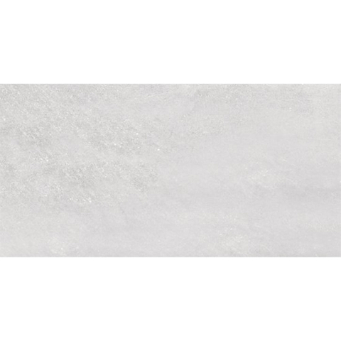 SAMPLE Ceralto Ferron Metal 305X605 Sync Steel SW1123113