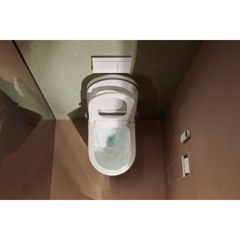 Hansgrohe iFrame Element E plaque de commande pour - double chasse - bronze brossé SW1388329