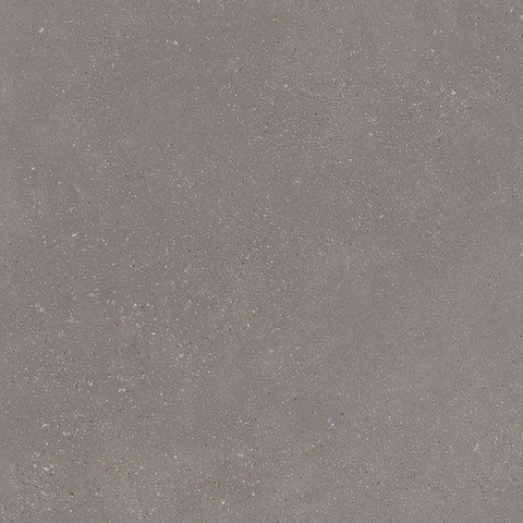 Ceralto Ivarno Core Carreau de sol - 60X60 - 10mm - mat - gris SW1579092