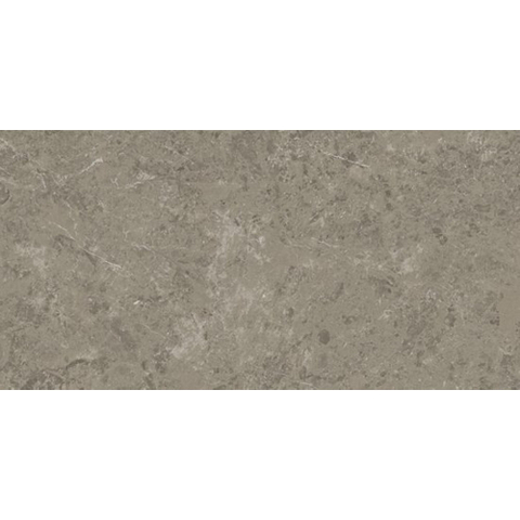Ceralto Calisto Luxe Carreau de sol - 59.5x119.5cm - 9.0mm - rectifié - Grigio élég. SW1130042