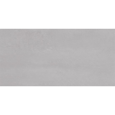 SAMPLE Ceralto Ferron Metal 305X605 Sync Taupe SW1123114