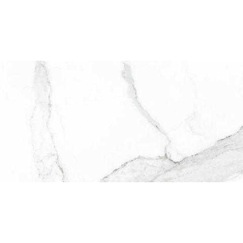 Terravito Alpuro carreau mural et de sol - 30x60cm - 9mm - Rectangle - rectifié - aspect marbre - blanc/noir brillant SW359737