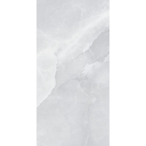 Terravito Davella carreau mural et de sol - 30x60cm - rectifié - aspect pierre naturelle - Grey pulido poli (gris) SW1120071