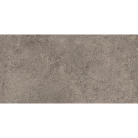 Terravito Sigillo carrelage mural et de sol - 29.6x59.5cm - 8mm - rectifié - antidérapant - effet béton - gris SW863182