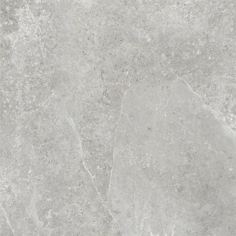 ÉCHANTILLON Terravito Arluna carreau mural et de sol - 80x80cm - 10.5mm - Carré - rectifié - Aspect marbre - Gris mat SW736071