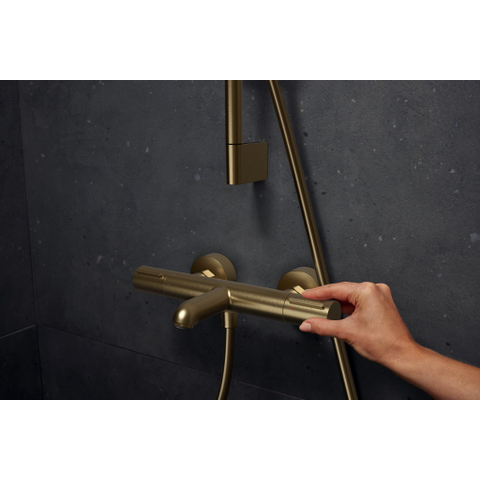 Hansgrohe Ecostat Element opbouw badthermostaat Brushed Bronze SW1566527