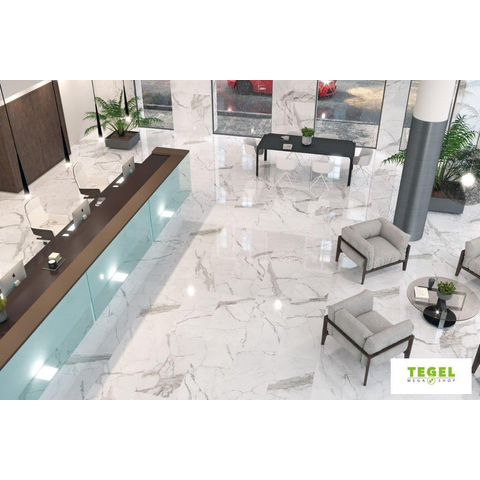 Terravito Alpuro carreau mural et de sol - 30x60cm - 9mm - Rectangle - rectifié - aspect marbre - blanc/noir brillant SW359737