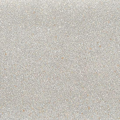 ÉCHANTILLON Terravito Lavena carreau mural et de sol - 60x60cm - 10mm - Carré - rectifié - Gris clair mat SW736144