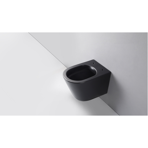 QeramiQ Dely WC suspendu – sans bride – profondeur 51,7 cm – avec abattant softclose 35 mm – noir mat SW1225249