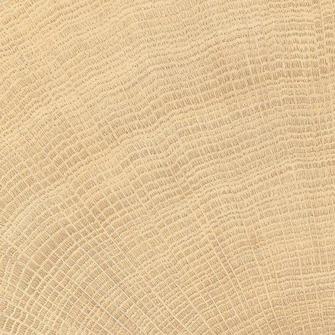 Vtwonen Tegels Woodcirkle Carrelage de sol - 10x10cm - 9.5mm - Chêne SW1473889