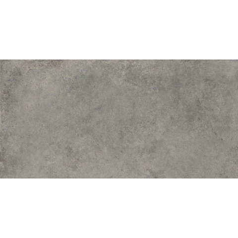 ÉCHANTILLON Terravito Sigillo carreau mural et de sol - 59.5x119.5cm - 8mm - rectifié - Aspect béton - Gris SW1130880