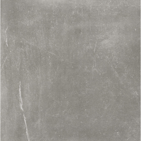 ÉCHANTILLON Terravito Ellino carreau mural et de sol - 60x60cm - 10mm - Carré - rectifié - effet pierre naturelle - Gris mat SW736473