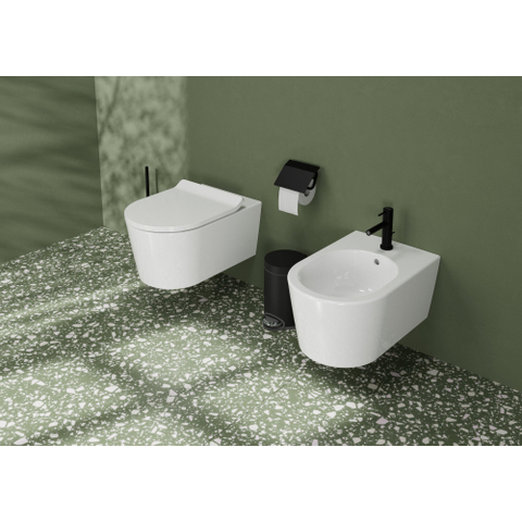 Hansgrohe AddStoris Q closetrolhouder - met klep - mat zwart SW651186