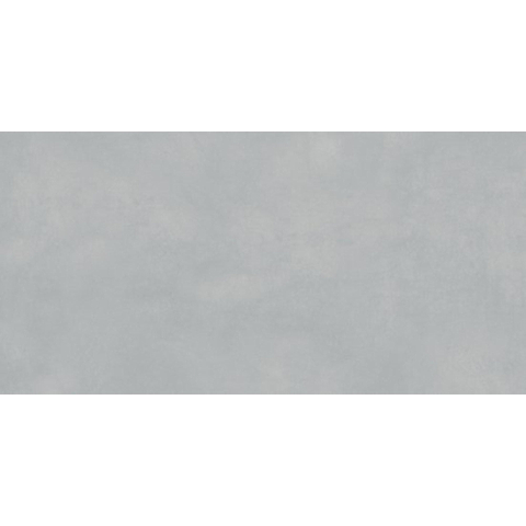 ÉCHANTILLON Ceralto Elmira Alto 298X598 Extra WADVK823 Gris clair SW1123096